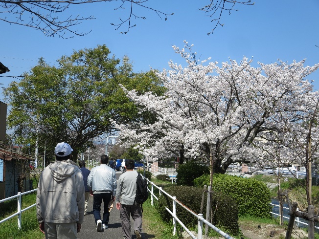 花見