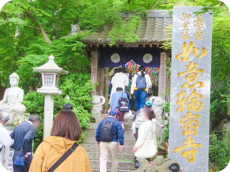 画像6